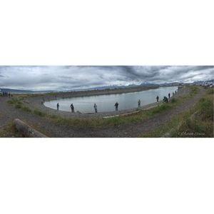 Meet your Posher, Debbie